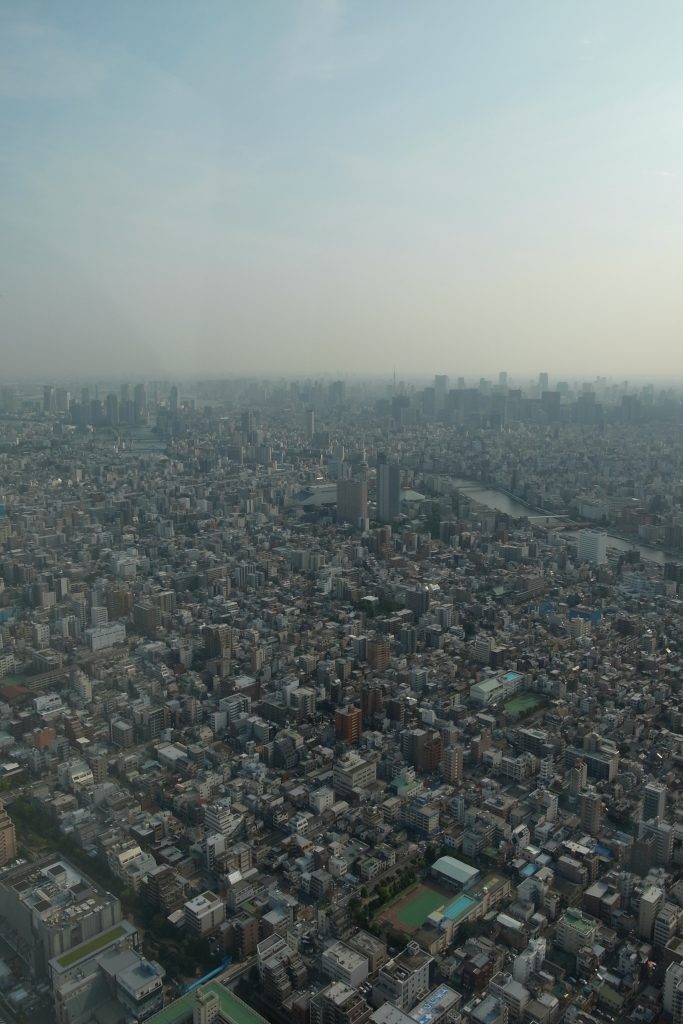 スカイツリーより 東京